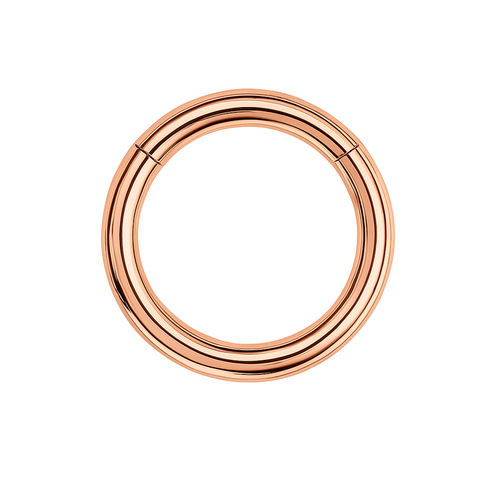 G23 Titanium Heavy Gauge Classic Hinged Segment Clicker Ring - Monster Piercing